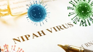 L’Administration vietnamienne de la prévention des maladies du ministère de la Santé adresse une note urgente aux services concernés afin de renforcer la surveillance et la prévention du virus Nipah. Photo : suckhoedoisong.vn
