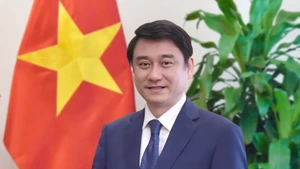 Le vice-ministre des Affaires étrangères, Le Anh Tuan. Photo : ministère vietnamien des Affaires étrangères
