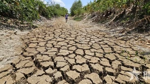 Le canal Suon, traversant la commune de Tan Tap, district de Cân Giuôc, province de Long An, à sec en raison d’une sécheresse prolongée et de la salinité en 2024. Photo : qdnd.vn
