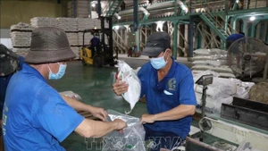 Les ouvriers de la société Phuoc Thanh II Co., Ltd. emballent du riz destiné à l'exportation. Photo : VNA.