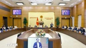 L'Assemblée nationale examine les préoccupations des citoyens sur le commerce en ligne. Photo: VNA