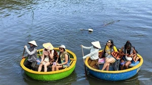 Les visiteurs s’adonnent à des balades en bateau-panier à travers la mangrove. Photo: VNA