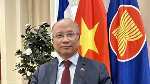 L’ambassadeur du Vietnam en France, Dinh Toan Thang. Photo : VNA.