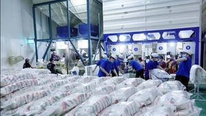 Les avantages tarifaires des accords CPTPP ou RCEP apportent des bénéfices tarifaires plus clairs que pour les marchés sans ALE avec le Japon. Photo : congthuong