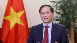 Le vice-Premier ministre vietnamien Bui Thanh Son. Photo : VNA.