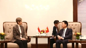 Le ministre vietnamien des Sciences et Technologies, Nguyen Manh Hung, et la ministre singapourienne du Développement numérique et de l’Information, Josephine Teo. Photo: VNA