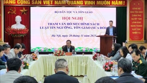 Lors de la conférence. Photo : VNA