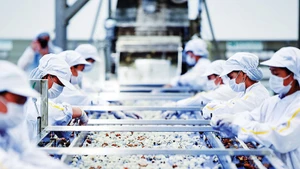 Photo d'illustration : vneconomy.vn