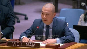 Le ministre conseiller Nguyen Hoang Nguyen, représentant permanent adjoint du Vietnam auprès des Nations Unies. Photo : VNA