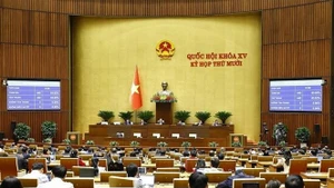 Une séance plénière. Photo : VNA.
