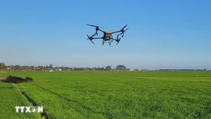 Intégration des drones dans la production agricole intelligente. Photo : VNA.
