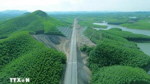 L’un des piliers essentiels permettant au Vietnam d’atteindre son objectif de neutralité carbone d’ici 2050 réside dans les importants puits de carbone que constituent ses forêts, ses mers et ses écosystèmes naturels. Photo : VNA