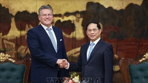 Le vice-Premier ministre Bui Thanh Son (droite) et Maros Sefcovic, commissaire européen au Commerce et à la Sécurité économique de l’Union européenne. Photo : VNA.