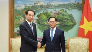 Le vice-Premier ministre Bui Thanh Son (à droite), et He Wei, ambassadeur de Chine au Vietnam. Photo : VNA.