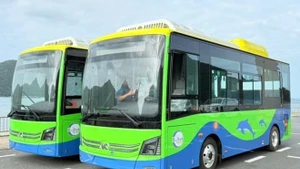 Côn Dao mettra en service sa première ligne de bus électrique publique le 25 décembre. Photo: laodong.vn