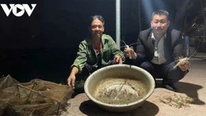 La coopération entre les coopératives et les entreprises est un moteur essentiel pour la restructuration agricole. Photo: VOV