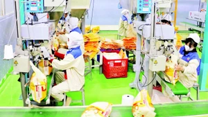 Photo d'illustration : VNA.