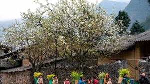 L'Assemblée nationale a approuvé l'investissement de 423 000 milliards de dôngs au Programme cible national pour l'édification de la Nouvelle ruralité, la réduction durable de la pauvreté et le développement socio-économique des zones montagneuses et peuplées de minorités ethniques pour la période 2026-2030. Photo: VNA