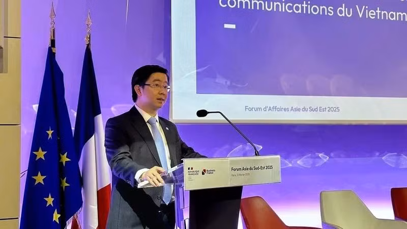 Le vice-ministre de l’Information et des Communications, Bui Hoang Phuong. Photo: VNA 