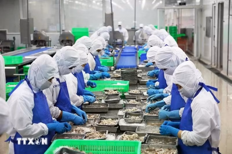 Le Vietnam comme un exemple à suivre pour les pays en développement. Photo : VNA. 
