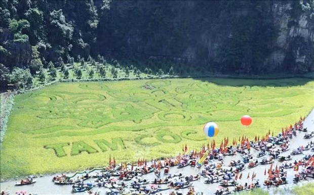 La rizière est cultivée sous la forme de l'image "Ly ngu vong nguyêt". Photo : VNA.