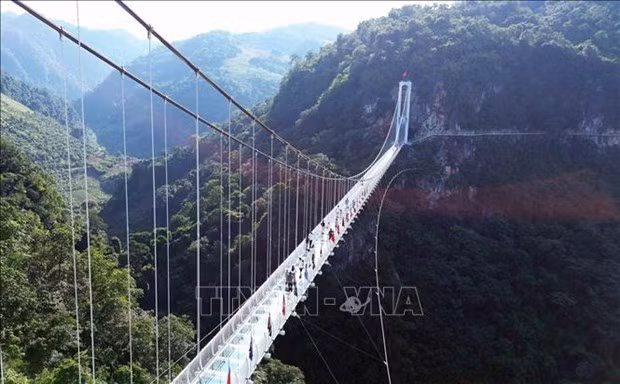 Le pont en verre le plus long au monde, Bach Long (Dragon blanc), une destination courue dans la commune de Muong Sang, du district de Môc Châu, province de Son La. Photo : VNA