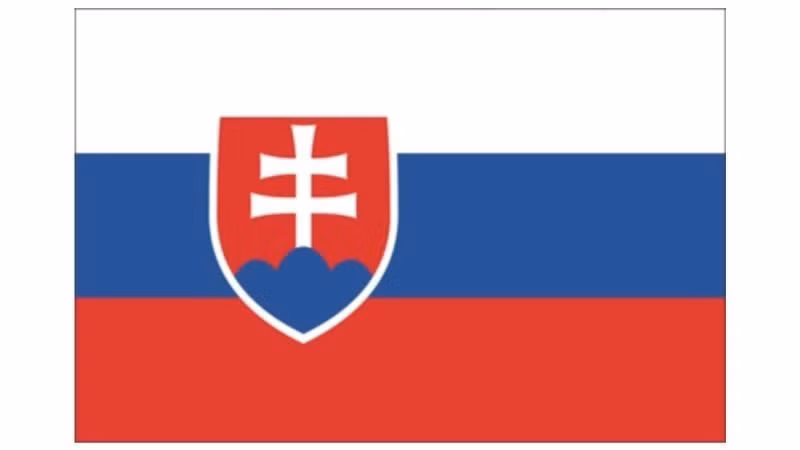 Le drapeau national de la Slovaquie. Photo : VNA. 