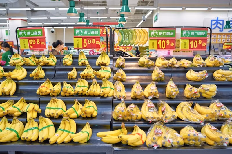  La Chine est actuellement l'un des plus grands consommateurs de bananes au monde. Photo d'illustration : Petrotimes. 