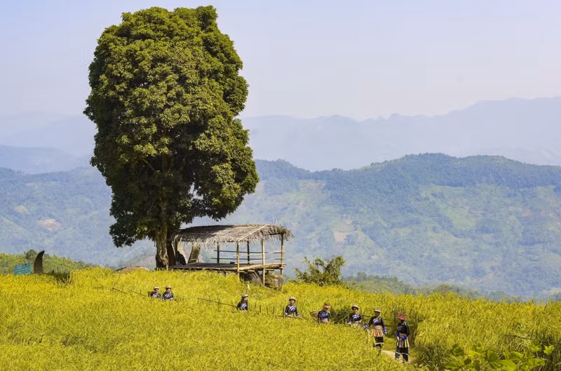 Phiêng Phàng, Bac Kan, devient une destination attrayante pour les amateurs de tourisme expérientiel et communautaire.