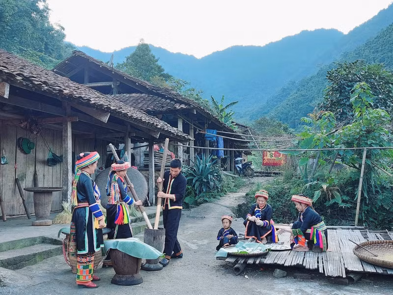 Préparation de plats traditionnels à base de riz gluant Tài avec les villageois.