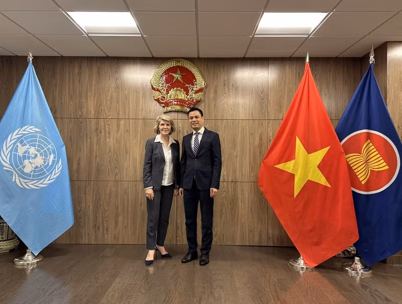 L'ambassadeur Dang Hoang Giang, chef de la Mission permanente du Vietnam auprès des Nations Unies (ONU) (droite) et Julie Bishop, envoyée spéciale du secrétaire général de l'ONU pour le Myanmar. Photo : VNA.