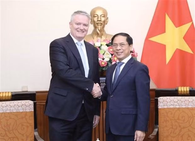 Le ministre des Affaires étrangères Bui Thanh Son (à droite) et le secrétaire général de l'Organisation de Coopération et de Développement économiques (OCDE) Mathias Cormann. Photo : VNA.