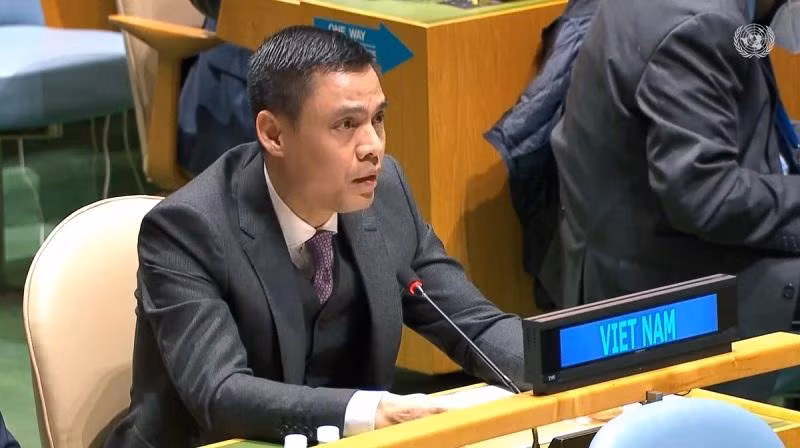 Le représentant permanent du Vietnam auprès de l’ONU, Dang Hoàng Giang. Photo: VOV