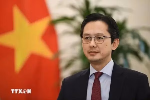 Le vice-ministre des Affaires étrangères Dô Hung Viêt. Photo : VNA.