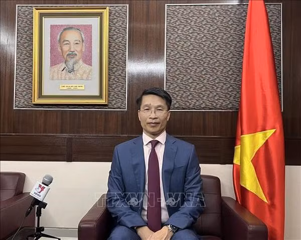 Le consul général du Vietnam à Hong Kong Pham Binh Dam. Photo : VNA