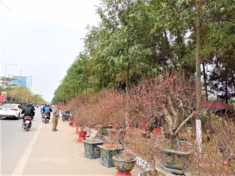 Photo : Minh Minh/NDEL.