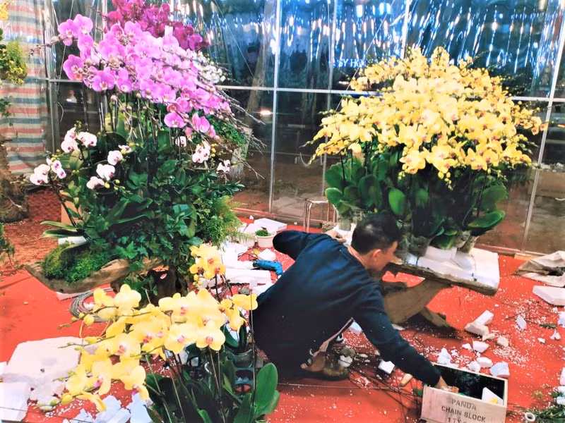 Photo : Minh Minh/NDEL.