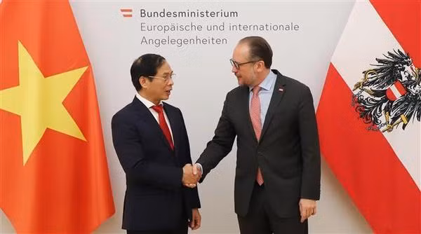 Le ministre autrichien des Affaires étrangères Alexander Schallenberg et le ministre des Affaires étrangères Bùi Thanh Son (gauche) en Autriche. Photo : VNA