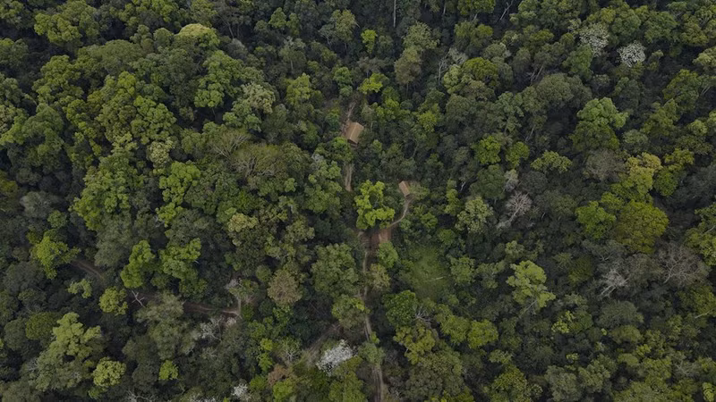La commune de Muong Phang est l'endroit où se trouve le QG du commandement de la campagne de Diên Biên Phu. Photo : VNA.