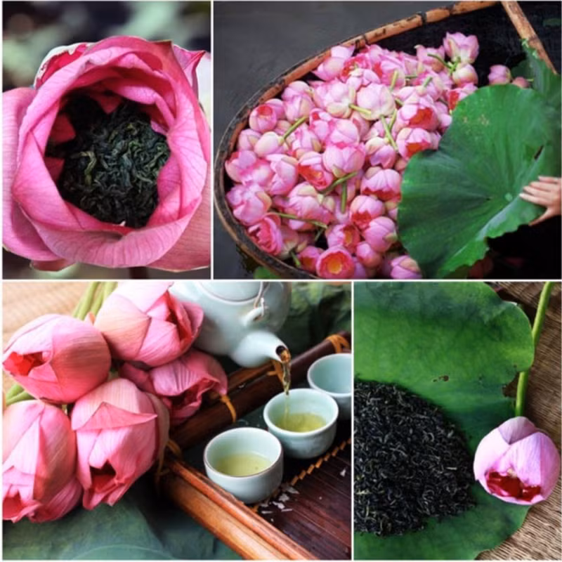 Le thé au lotus de Quang An est depuis longtemps une spécialité très appréciée de la capitale.