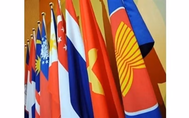 Les drapeaux des pays de l'ASEAN. Photo : internet.