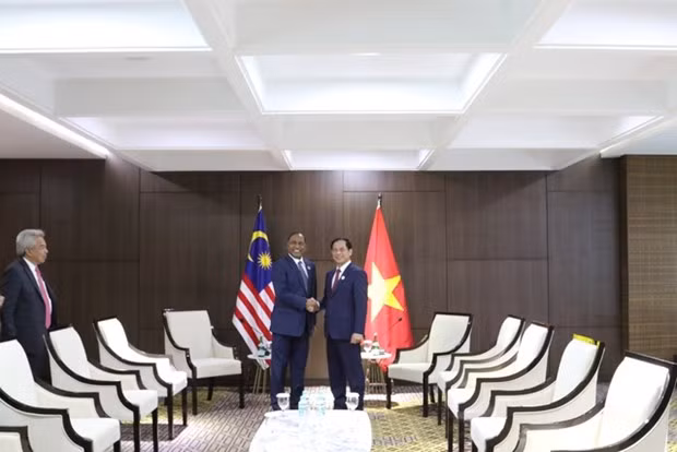 Le ministre Bùi Thanh Son et le chef de la diplomatie malaisienne, Dato’s Seri Zambry Abdul Kadir. Photo : VNA.