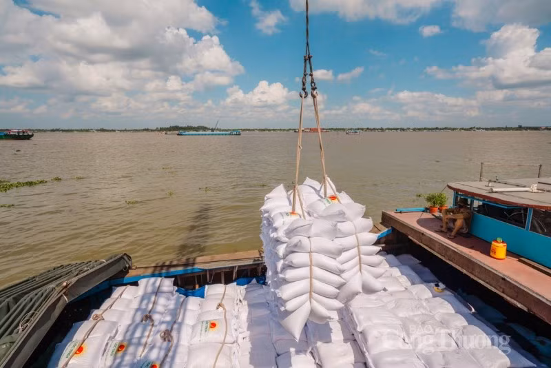 Les exportations de riz sont un point positif au début de l’année. Photo : congthuong.vn