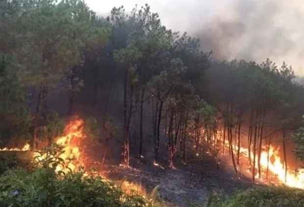 Zone forestière incendiée dans la province de Nghe An dans l'après-midi du 30 avril 2024. Photo : baochinhphu.vn