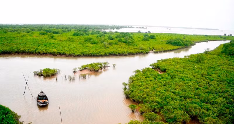 Le parc national de Xuan Thuy abrite 120 espèces de flore, plus de 500 espèces de faune et 30 espèces de reptiles et d’amphibiens. Photo : NDEL