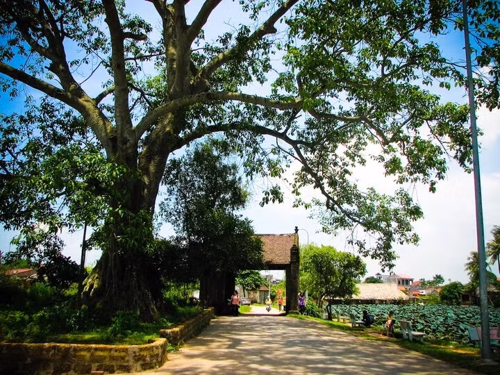 Le village de Duong Lâm. Photo : vtc.vn