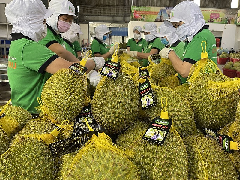 Les légumes et les fruits sont les principaux produits d'exportation du Vietnam vers la Chine. Photo : congthuong.vn