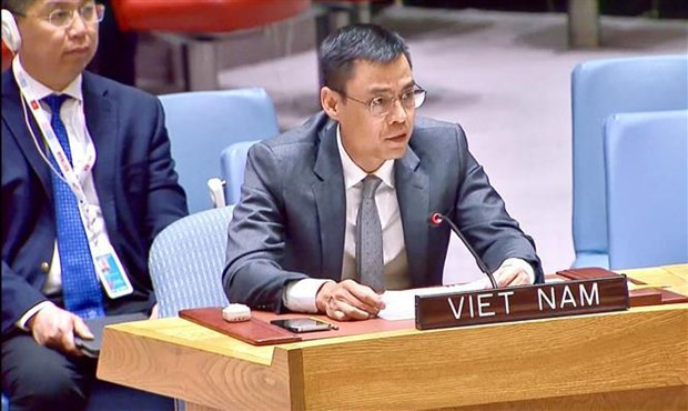 L'ambassadeur Dang Hoàng Giang, chef de la Mission permanente du Vietnam auprès de l'ONU. Photo : VNA.