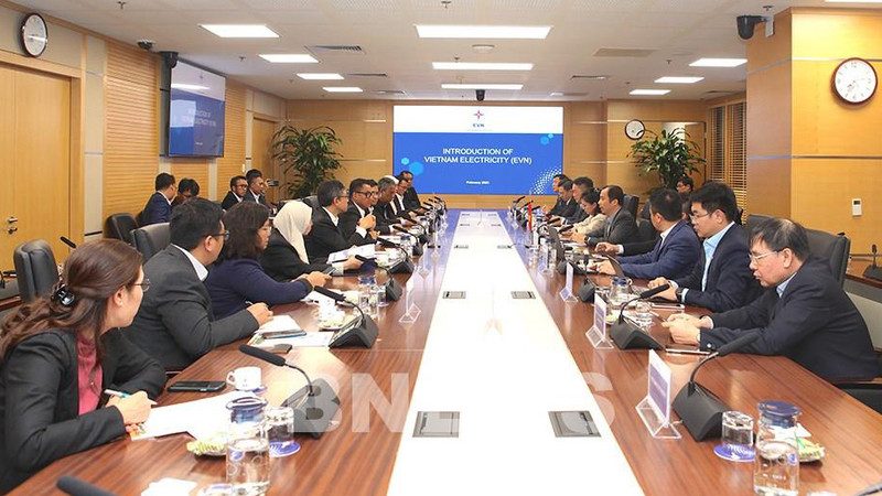 Séance de travail entre les dirigeants de l’EVN et du PLN. Photo : bnews.vn.