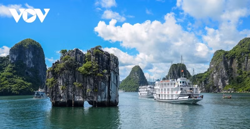 La baie d’Ha Long possède un écosystème et des formations géologiques rares. Photo : VOV.